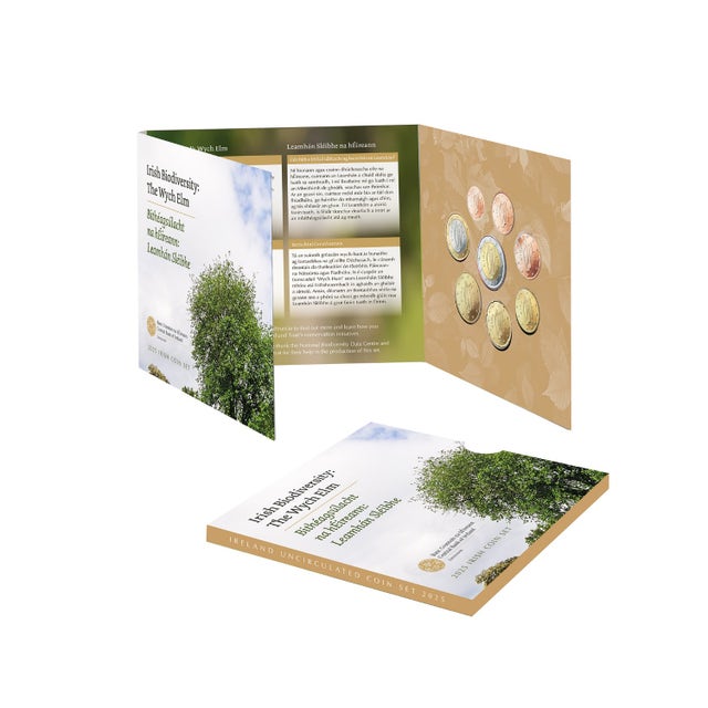 Annual Mint Set 2025